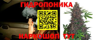 метадон Гусь-Хрустальный